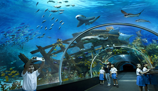 acuario grande