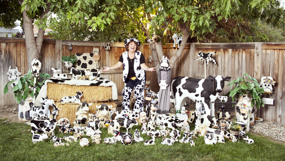 vacas