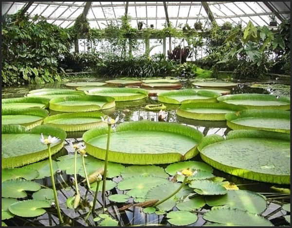jardin-botanico-nacional