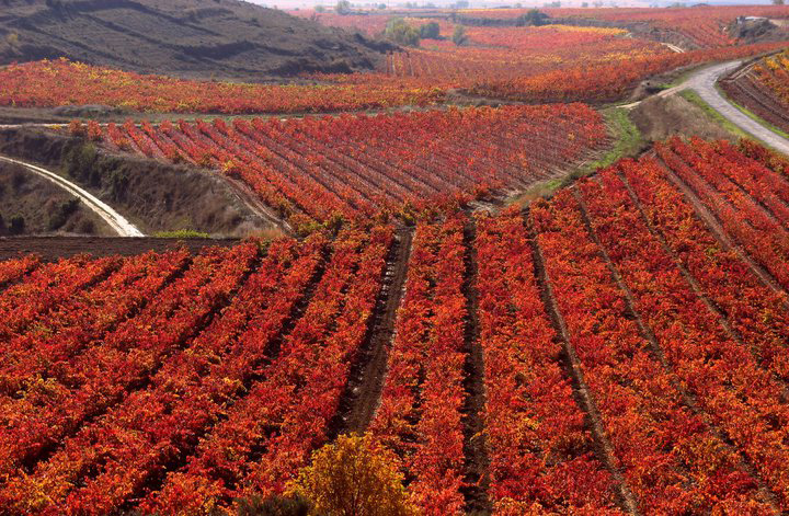 la rioja