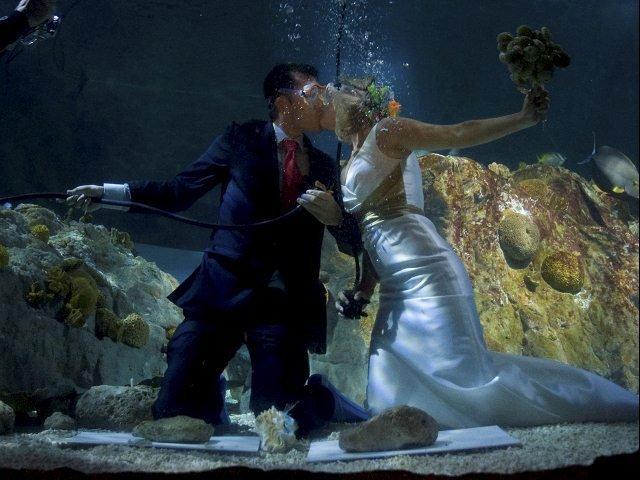lugar exótico para contraer matrimonio bajo el mar