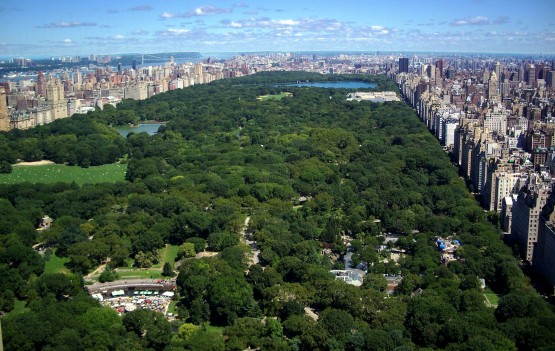 visitas-imprescindibles-de-nueva-york-central-park