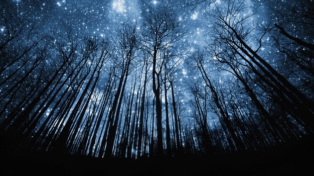 estrellas